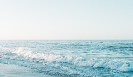 今日の朝食は、カフェ風にしてみました。