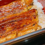 やっぱりすごい鰻の栄養成分や効能